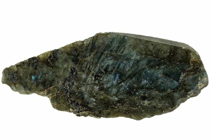 Single Side Polished Labradorite Section - Madagascar #238243